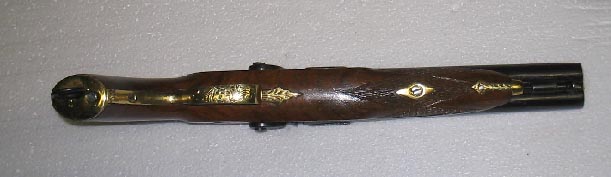 bottom view